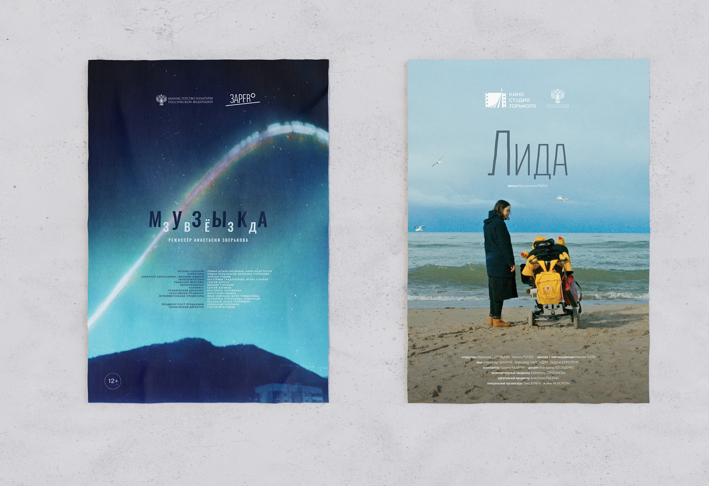 Two documentary film posters: a dark one with a comet over mountains and the letter-spaced title Музыка, and a pale one with a woman pushing a pram along a beach titled Лида.